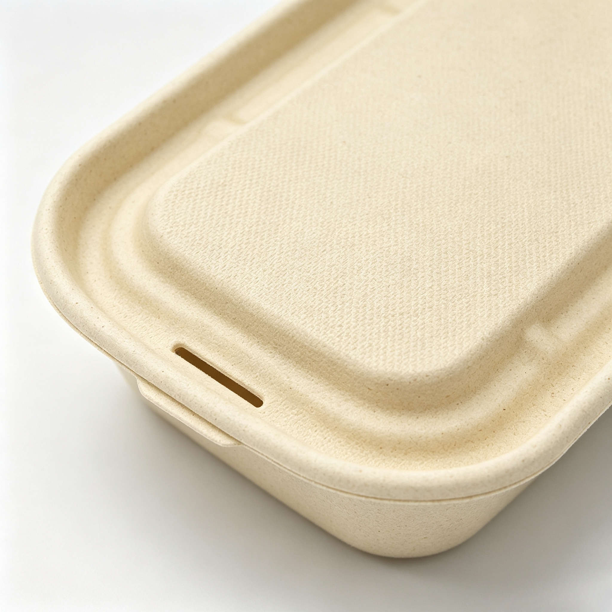 700ml 850ml 1000ml 2 Compartments Bagasse Bento Box with Lid