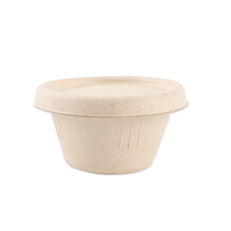 Bagasse Cup