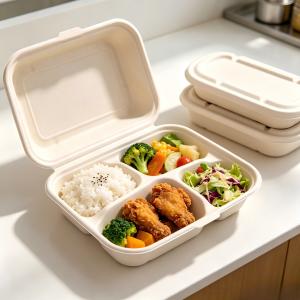 500ML 700ML 850ML 1000ML Compostable Bagasse Bento Box with Lid 